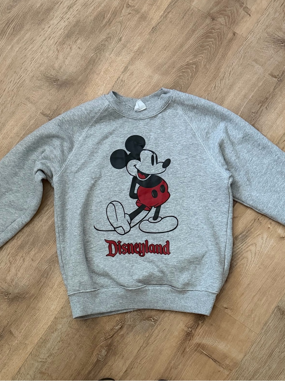 DISNEYLAND CREWNECK